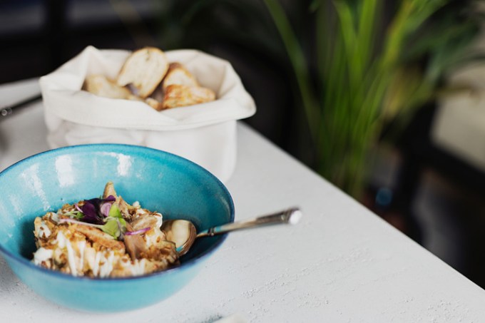 teckelmadrid_dailymetal8